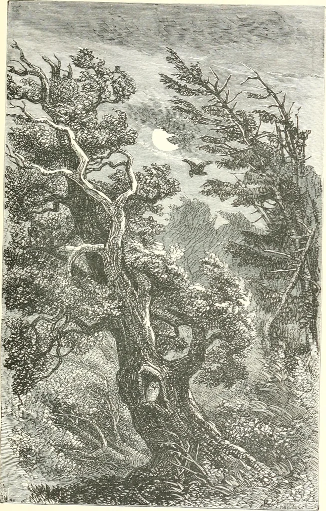 An illustration from Printing : a practical treatise on the art of typography as applied more particularly to the printing of books, 1904, leaf 272