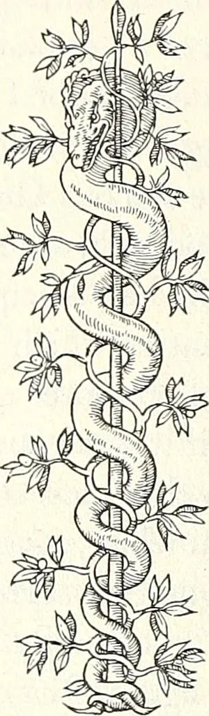 An illustration from Printing and the renaissance : a paper read before the Fortnightly Club of Rochester, New York / by John Rothwell Slater, 1921, leaf 29