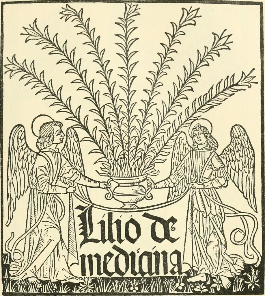 An illustration from Printing types, their history, forms, and use; a study in survivals, 1922, leaf 234