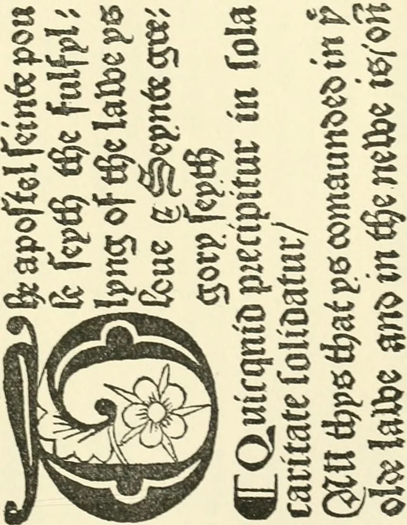 An illustration from Printing types, their history, forms, and use; a study in survivals, 1922, leaf 258