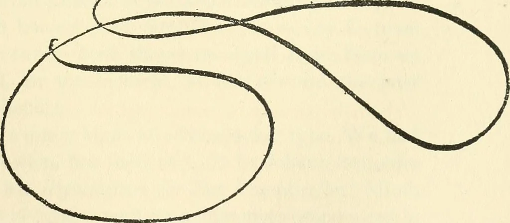 An illustration from Printing types, their history, forms, and use; a study in survivals, 1922, leaf 300