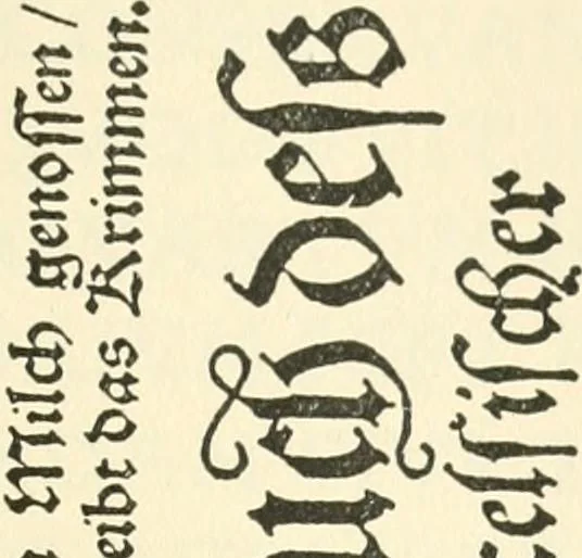 An illustration from Printing types, their history, forms, and use; a study in survivals, 1922, leaf 310