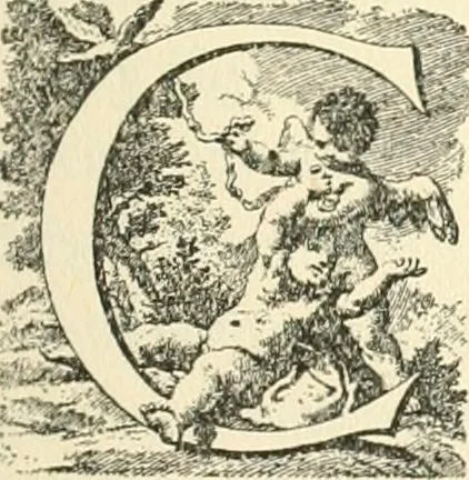 An illustration from Printing types, their history, forms, and use; a study in survivals, 1922, leaf 434