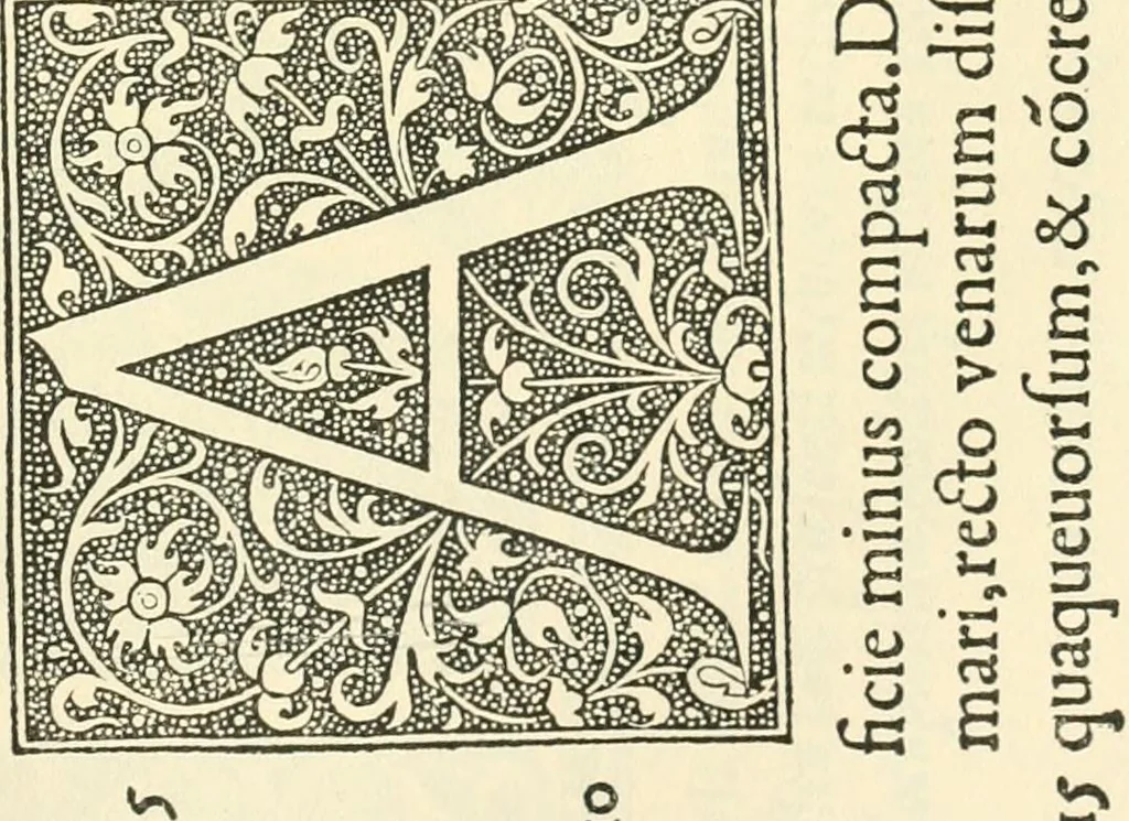 An illustration from Printing types, their history, forms, and use; a study in survivals, 1922, leaf 486
