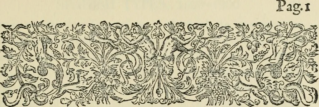 An illustration from Printing types, their history, forms, and use; a study in survivals, 1922, leaf 172