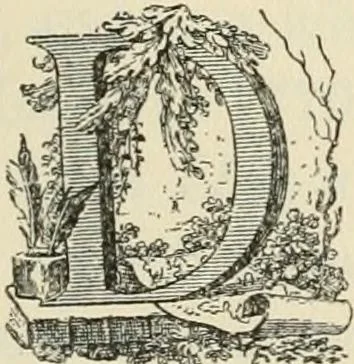 An illustration from Printing types, their history, forms, and use; a study in survivals, 1922, leaf 188