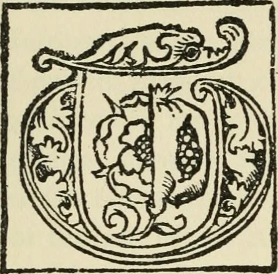 An illustration from Printing types, their history, forms, and use; a study in survivals, 1922, leaf 238