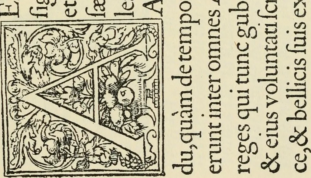 An illustration from Printing types, their history, forms, and use; a study in survivals, 1922, leaf 242