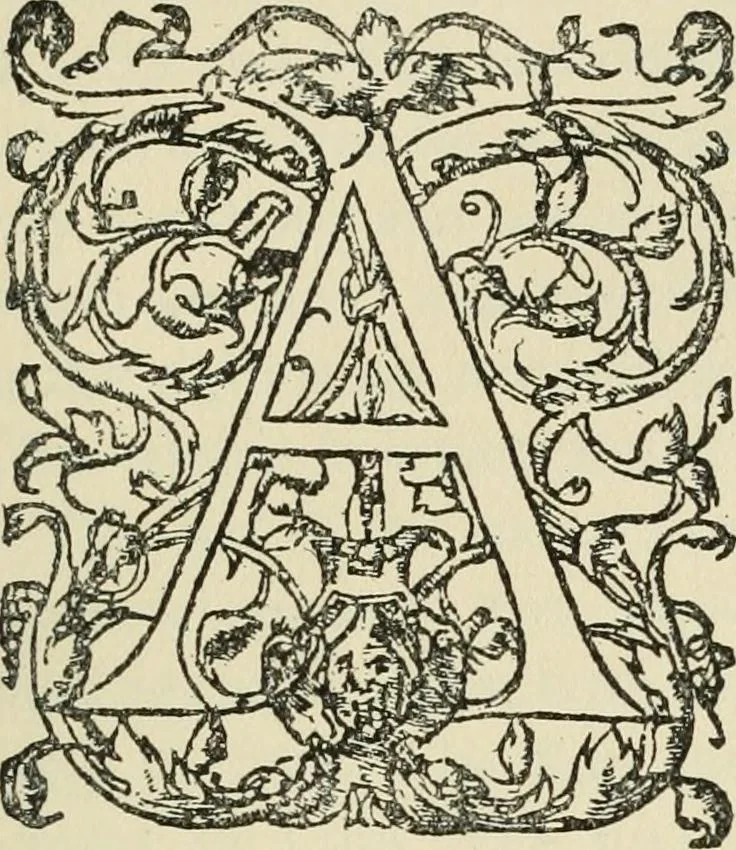 An illustration from Printing types, their history, forms, and use; a study in survivals, 1922, leaf 342