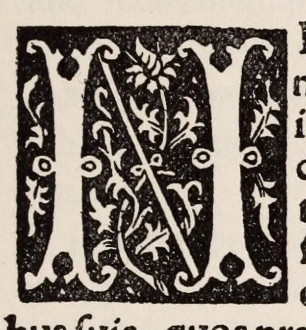 An illustration from Printing types, their history, forms, and use : a study in survivals, 1922, leaf 325