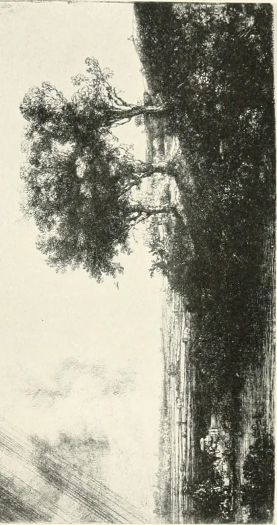 An illustration from Prints; a brief review of their technique and history, 1914, leaf 160
