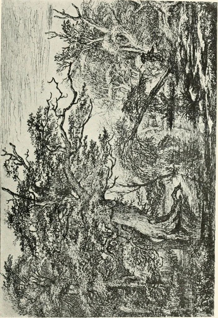An illustration from Prints; a brief review of their technique and history, 1914, leaf 172