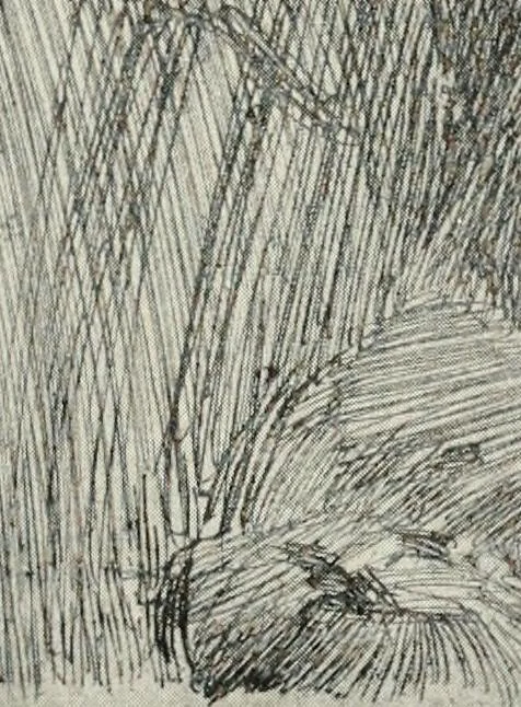 An illustration from Prints; a brief review of their technique and history, 1914, leaf 284
