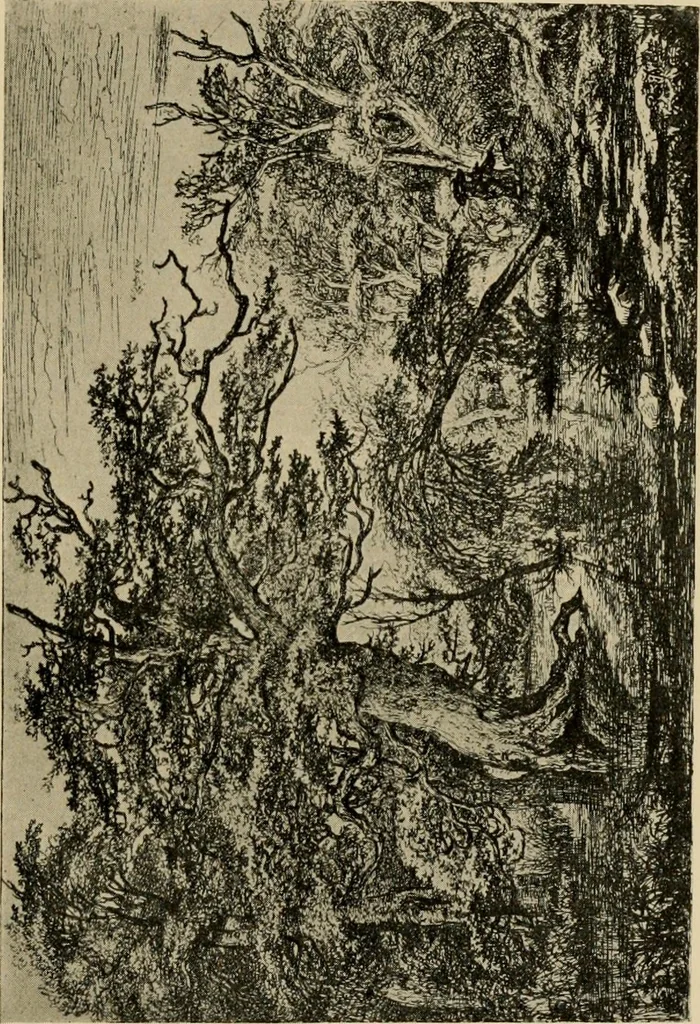 An illustration from Prints; a brief review of their technique and history, 1914, leaf 174