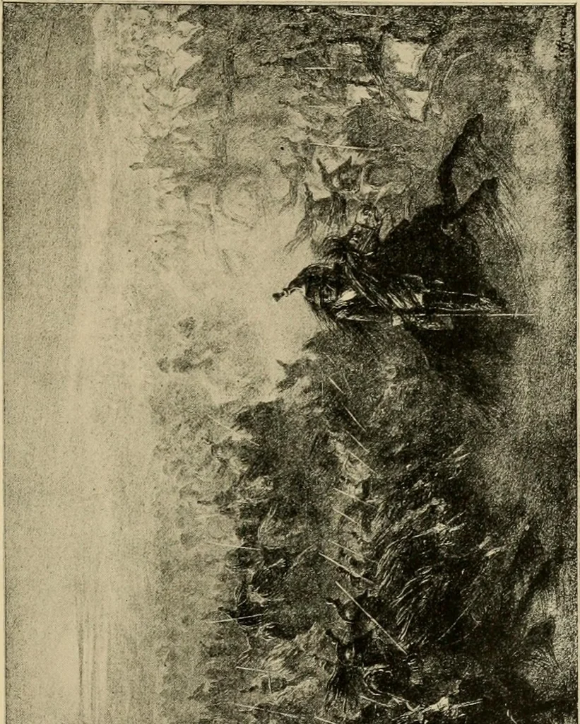 An illustration from Prints; a brief review of their technique and history, 1914, leaf 270