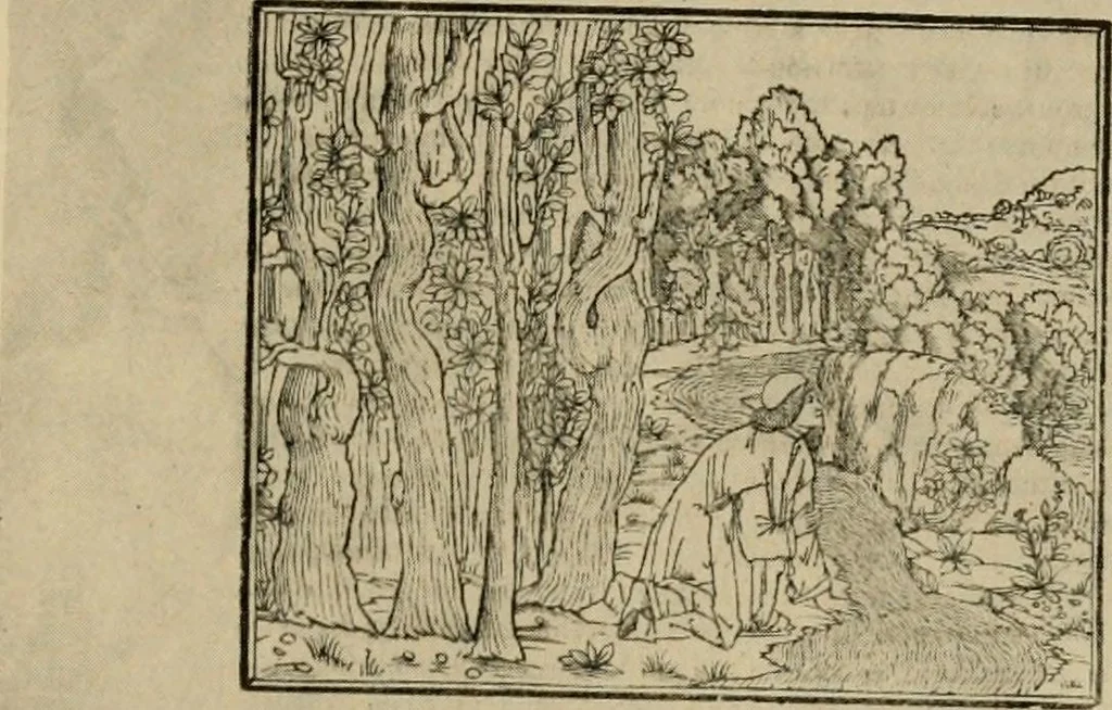 An illustration from Prints; a brief review of their technique and history, 1914, leaf 60