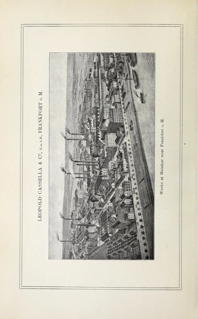 An illustration from Print styles on shoddy material, 1900, leaf 6