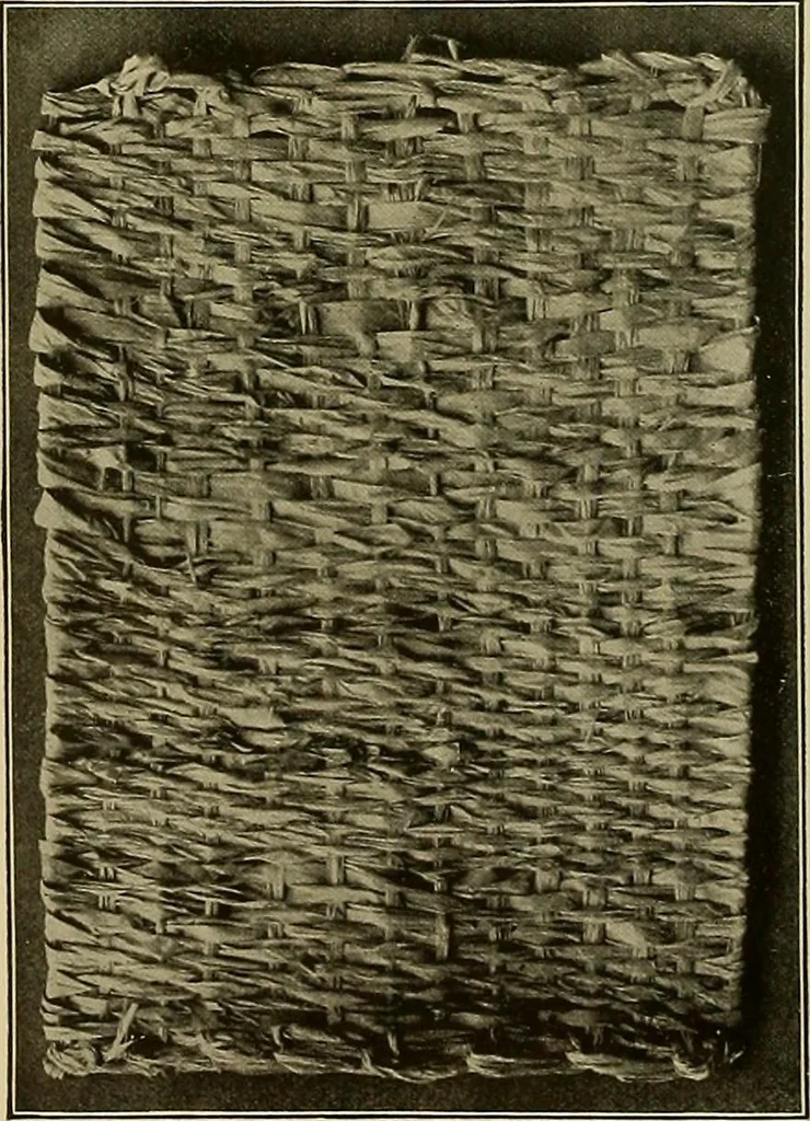 An illustration from The Priscilla basketry book a collection of baskets and other articles with lessons for working and directions for dyeing and staining, 1911, leaf 11