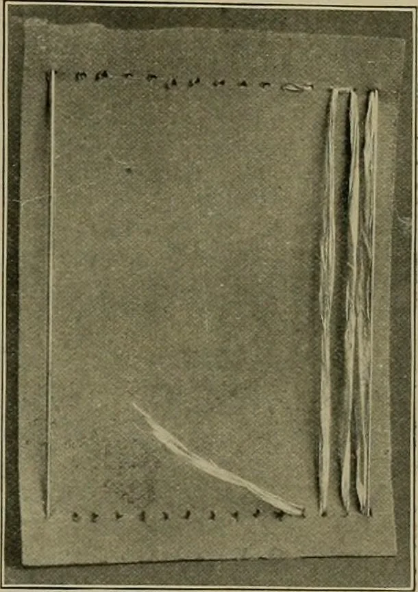 An illustration from The Priscilla basketry book a collection of baskets and other articles with lessons for working and directions for dyeing and staining, 1911, leaf 12