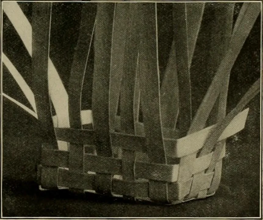 An illustration from The Priscilla basketry book a collection of baskets and other articles with lessons for working and directions for dyeing and staining, 1911, leaf 18
