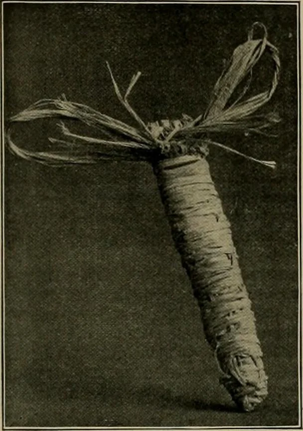 An illustration from The Priscilla basketry book a collection of baskets and other articles with lessons for working and directions for dyeing and staining, 1911, leaf 20