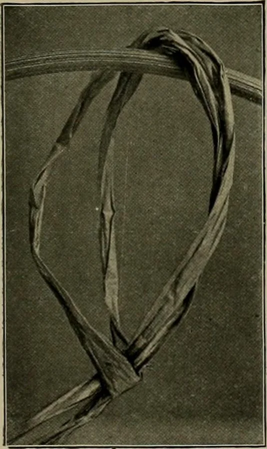 An illustration from The Priscilla basketry book a collection of baskets and other articles with lessons for working and directions for dyeing and staining, 1911, leaf 6