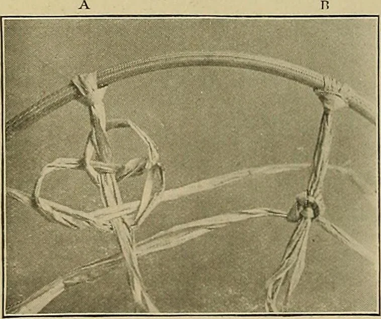 An illustration from The Priscilla basketry book a collection of baskets and other articles with lessons for working and directions for dyeing and staining, 1911, leaf 7