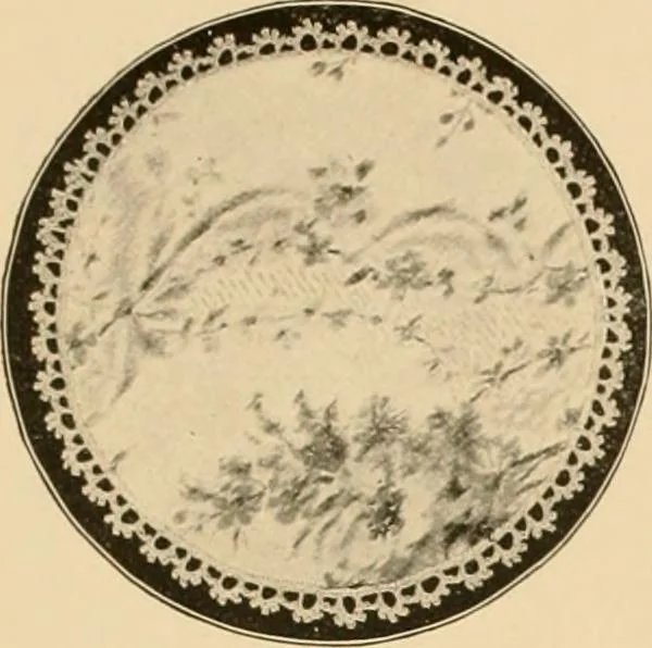 An illustration from The Priscilla crochet book, centerpieces and doilies;, 1915, leaf 18