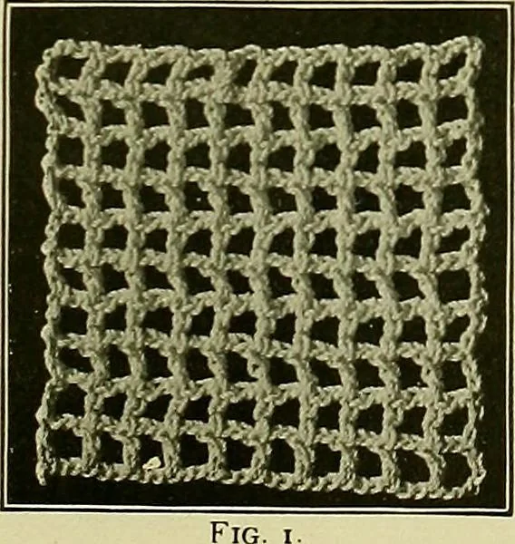 An illustration from The Priscilla filet crochet book : a collection of beautiful designs in filet crochet, equally adapted to cross-stitch beads and canvas with working directions, 1915, leaf 8