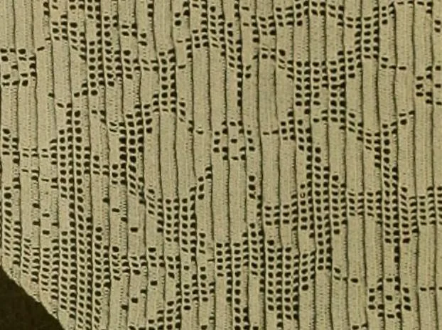 An illustration from The Priscilla filet crochet book, no. 2 ; a collection of beautiful designs in filet crochet, introducing filet crochet brodé, embroidery on crochet and cameo crochet, 1914, leaf 25