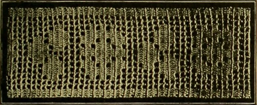 An illustration from The Priscilla filet crochet book, no. 2 ; a collection of beautiful designs in filet crochet, introducing filet crochet brodé, embroidery on crochet and cameo crochet, 1914, leaf 48