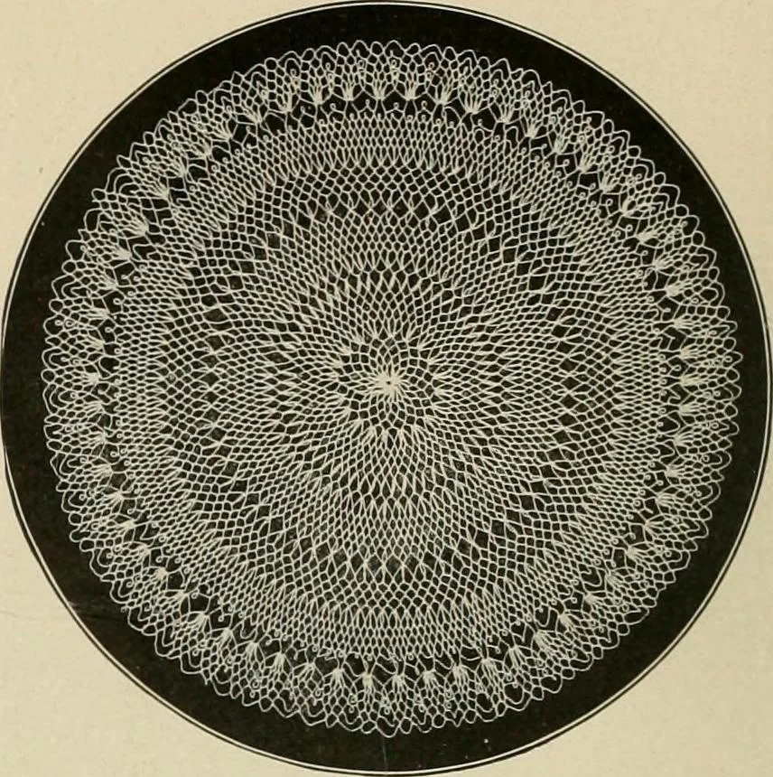 An illustration from The Priscilla netting book, containing full directions for making square and circular netting, and for the various stitches with which netting is ornamented, also a great number of finished pieces in the different varieties of netting and filet brodé, 1914, leaf 29