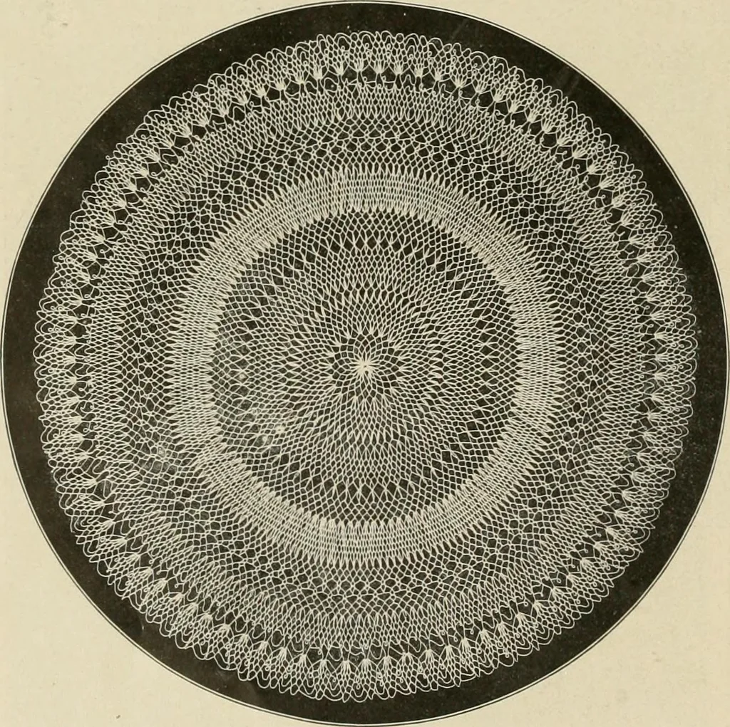 An illustration from The Priscilla netting book, containing full directions for making square and circular netting, and for the various stitches with which netting is ornamented, also a great number of finished pieces in the different varieties of netting and filet brodé, 1914, leaf 29