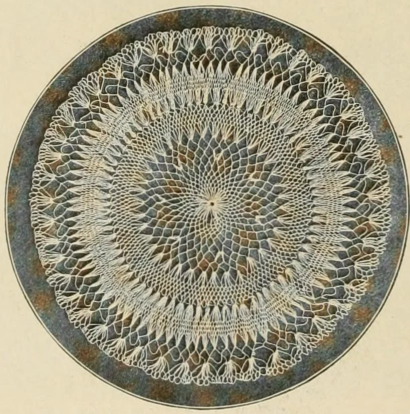An illustration from The Priscilla netting book, containing full directions for making square and circular netting, and for the various stitches with which netting is ornamented, also a great number of finished pieces in the different varieties of netting and filet brodé, 1914, leaf 33