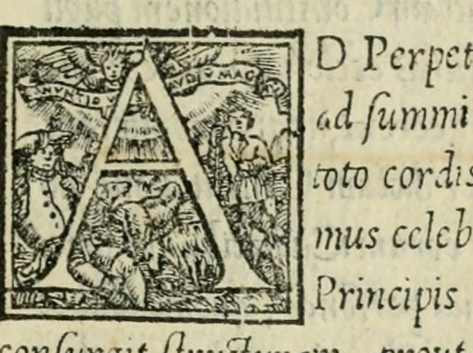 An illustration from Privilegia, avctoritates, facvltates, indvlgentiaeq. Fabricae Basilicae Principis Apostoloru Sancti Petri de Vrbe : à quàmpluribus Ro. pontificibus concesae, et per sanctissimvm D.N. dominum Pavlvm diuina prouidentia papam IIII confirmatae, 1559, leaf 209