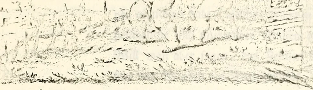 An illustration from Proben des hohen Teütschen Reichs Adels, oder, Sammlungen alter Denkmäler, Grabsteinen, Wappen, Inn- und Urschriften, u: d: nach ihrem wahren Urbilde aufgenommen unter offener Treüe bewähret und durch Anenbäume auch sonstige Nachrichten erkläret und erläuteret, 1775, leaf 216