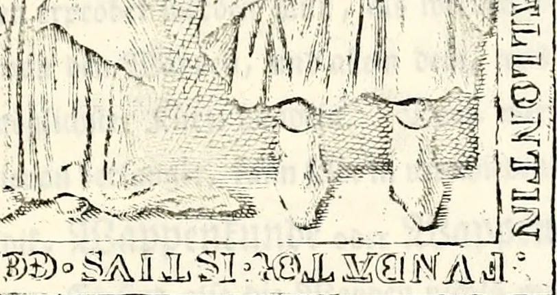 An illustration from Proben des hohen Teütschen Reichs Adels, oder, Sammlungen alter Denkmäler, Grabsteinen, Wappen, Inn- und Urschriften, u: d: nach ihrem wahren Urbilde aufgenommen unter offener Treüe bewähret und durch Anenbäume auch sonstige Nachrichten erkläret und erläuteret, 1775, leaf 228