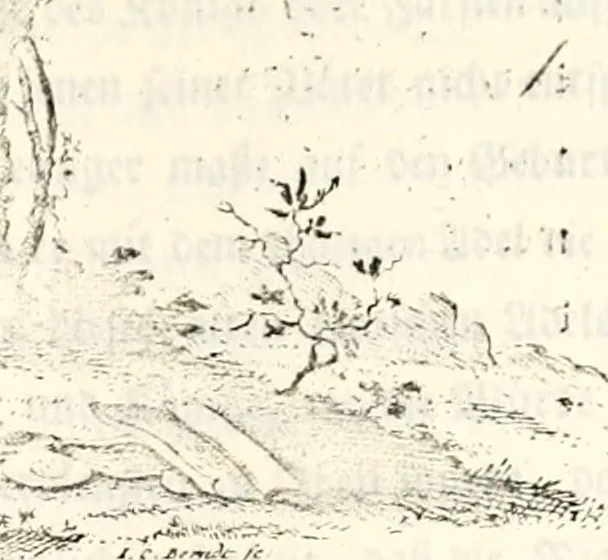 An illustration from Proben des hohen Teütschen Reichs Adels, oder, Sammlungen alter Denkmäler, Grabsteinen, Wappen, Inn- und Urschriften, u: d: nach ihrem wahren Urbilde aufgenommen unter offener Treüe bewähret und durch Anenbäume auch sonstige Nachrichten erkläret und erläuteret, 1775, leaf 268