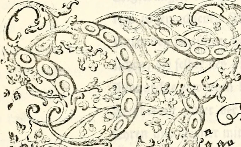 An illustration from Proben des hohen Teütschen Reichs Adels, oder, Sammlungen alter Denkmäler, Grabsteinen, Wappen, Inn- und Urschriften, u: d: nach ihrem wahren Urbilde aufgenommen unter offener Treüe bewähret und durch Anenbäume auch sonstige Nachrichten erkläret und erläuteret, 1775, leaf 268