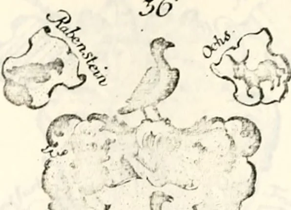 An illustration from Proben des hohen Teütschen Reichs Adels, oder, Sammlungen alter Denkmäler, Grabsteinen, Wappen, Inn- und Urschriften, u: d: nach ihrem wahren Urbilde aufgenommen unter offener Treüe bewähret und durch Anenbäume auch sonstige Nachrichten erkläret und erläuteret, 1775, leaf 370