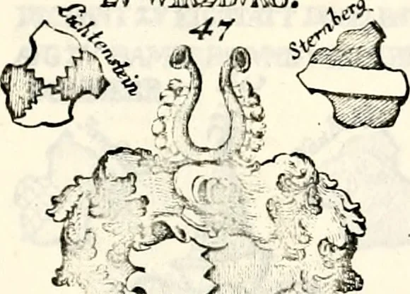 An illustration from Proben des hohen Teütschen Reichs Adels, oder, Sammlungen alter Denkmäler, Grabsteinen, Wappen, Inn- und Urschriften, u: d: nach ihrem wahren Urbilde aufgenommen unter offener Treüe bewähret und durch Anenbäume auch sonstige Nachrichten erkläret und erläuteret, 1775, leaf 372