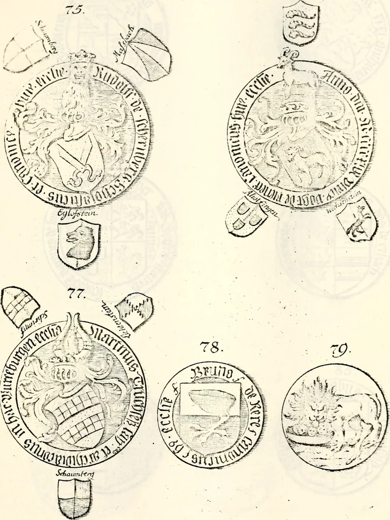 An illustration from Proben des hohen Teütschen Reichs Adels, oder, Sammlungen alter Denkmäler, Grabsteinen, Wappen, Inn- und Urschriften, u: d: nach ihrem wahren Urbilde aufgenommen unter offener Treüe bewähret und durch Anenbäume auch sonstige Nachrichten erkläret und erläuteret, 1775, leaf 384