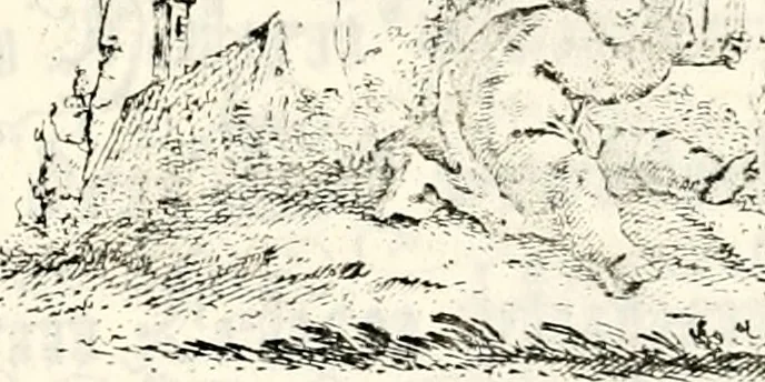 An illustration from Proben des hohen Teütschen Reichs Adels, oder, Sammlungen alter Denkmäler, Grabsteinen, Wappen, Inn- und Urschriften, u: d: nach ihrem wahren Urbilde aufgenommen unter offener Treüe bewähret und durch Anenbäume auch sonstige Nachrichten erkläret und erläuteret, 1775, leaf 462
