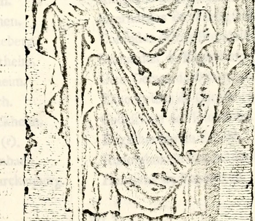 An illustration from Proben des hohen Teütschen Reichs Adels, oder, Sammlungen alter Denkmäler, Grabsteinen, Wappen, Inn- und Urschriften, u: d: nach ihrem wahren Urbilde aufgenommen unter offener Treüe bewähret und durch Anenbäume auch sonstige Nachrichten erkläret und erläuteret, 1775, leaf 558