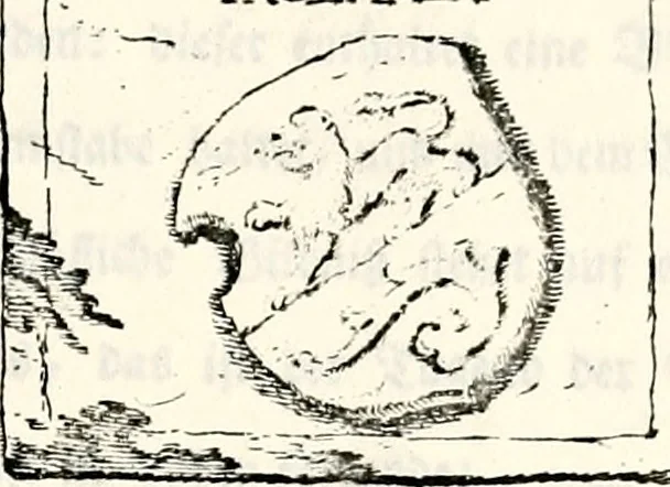 An illustration from Proben des hohen Teütschen Reichs Adels, oder, Sammlungen alter Denkmäler, Grabsteinen, Wappen, Inn- und Urschriften, u: d: nach ihrem wahren Urbilde aufgenommen unter offener Treüe bewähret und durch Anenbäume auch sonstige Nachrichten erkläret und erläuteret, 1775, leaf 598