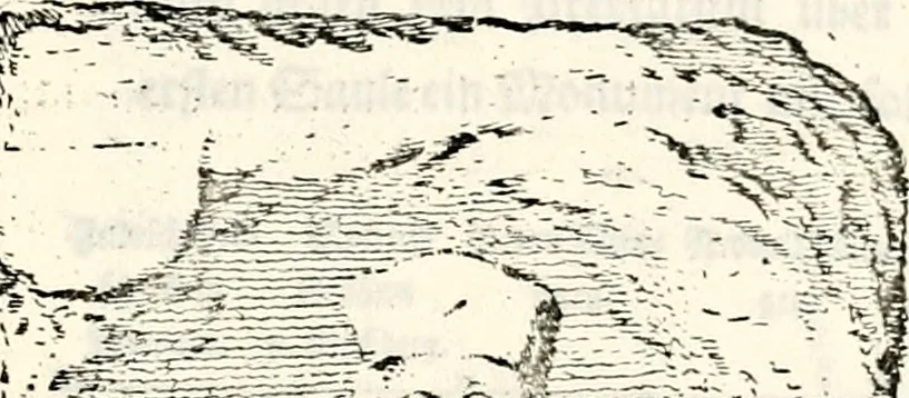 An illustration from Proben des hohen Teütschen Reichs Adels, oder, Sammlungen alter Denkmäler, Grabsteinen, Wappen, Inn- und Urschriften, u: d: nach ihrem wahren Urbilde aufgenommen unter offener Treüe bewähret und durch Anenbäume auch sonstige Nachrichten erkläret und erläuteret, 1775, leaf 670