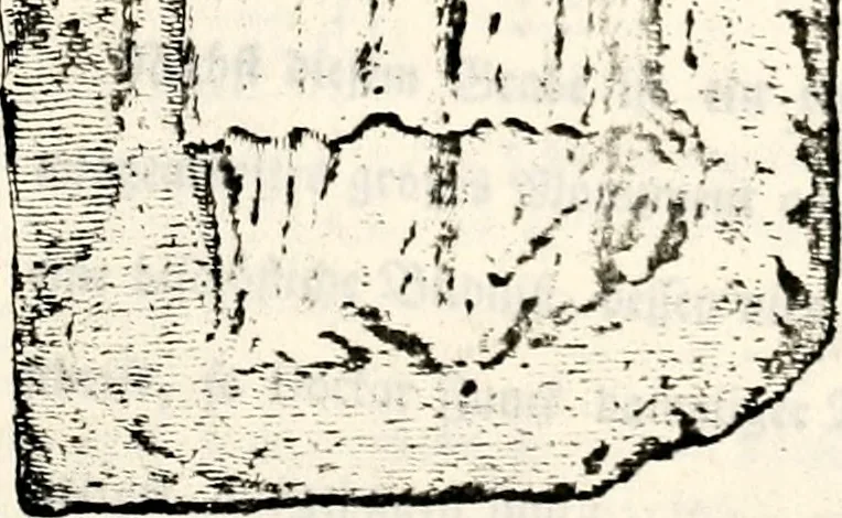 An illustration from Proben des hohen Teütschen Reichs Adels, oder, Sammlungen alter Denkmäler, Grabsteinen, Wappen, Inn- und Urschriften, u: d: nach ihrem wahren Urbilde aufgenommen unter offener Treüe bewähret und durch Anenbäume auch sonstige Nachrichten erkläret und erläuteret, 1775, leaf 766