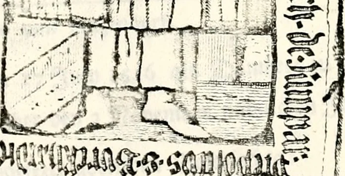 An illustration from Proben des hohen Teütschen Reichs Adels, oder, Sammlungen alter Denkmäler, Grabsteinen, Wappen, Inn- und Urschriften, u: d: nach ihrem wahren Urbilde aufgenommen unter offener Treüe bewähret und durch Anenbäume auch sonstige Nachrichten erkläret und erläuteret, 1775, leaf 26