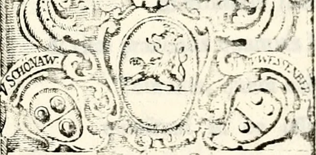 An illustration from Proben des hohen Teütschen Reichs Adels, oder, Sammlungen alter Denkmäler, Grabsteinen, Wappen, Inn- und Urschriften, u: d: nach ihrem wahren Urbilde aufgenommen unter offener Treüe bewähret und durch Anenbäume auch sonstige Nachrichten erkläret und erläuteret, 1775, leaf 432