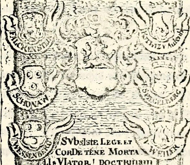 An illustration from Proben des hohen Teütschen Reichs Adels, oder, Sammlungen alter Denkmäler, Grabsteinen, Wappen, Inn- und Urschriften, u: d: nach ihrem wahren Urbilde aufgenommen unter offener Treüe bewähret und durch Anenbäume auch sonstige Nachrichten erkläret und erläuteret, 1775, leaf 552